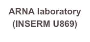 ARNA Laboratory